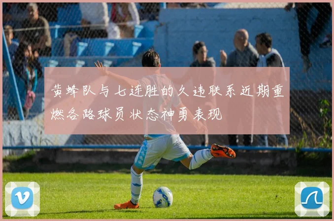 黄蜂队与七连胜的久违联系近期重燃各路球员状态神勇表现