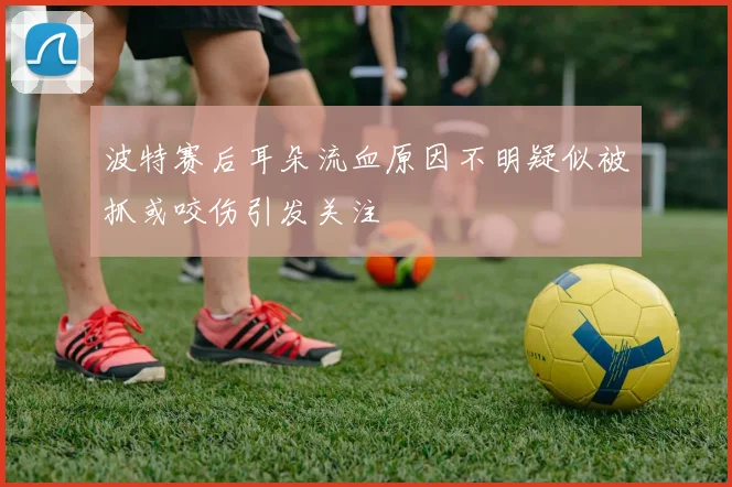 波特赛后耳朵流血原因不明疑似被抓或咬伤引发关注