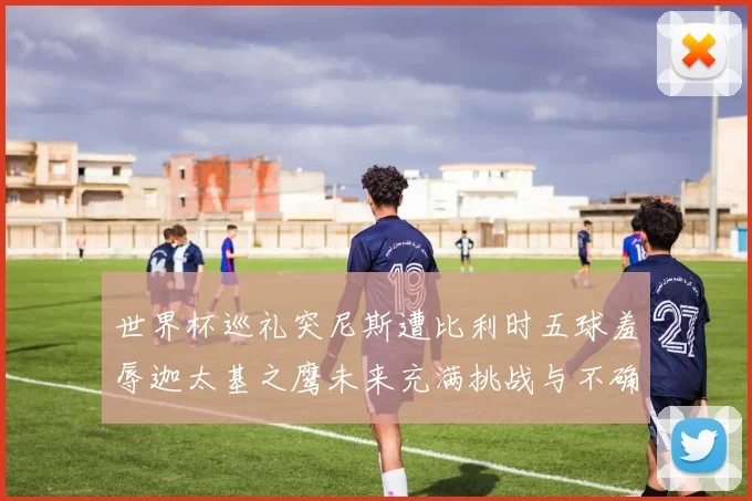 世界杯巡礼突尼斯遭比利时五球羞辱迦太基之鹰未来充满挑战与不确定性